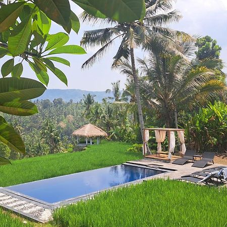 Bali De Pardis Cottage Munduk Εξωτερικό φωτογραφία