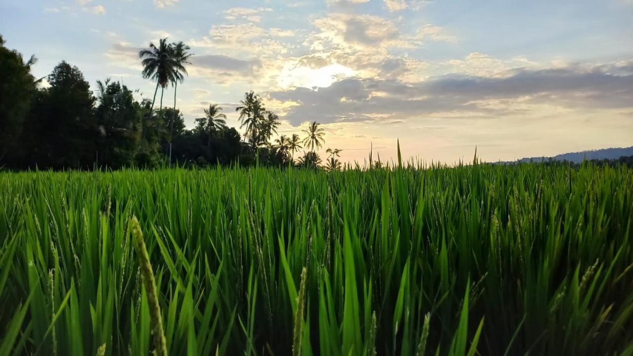 Bali De Pardis Cottage Munduk Εξωτερικό φωτογραφία