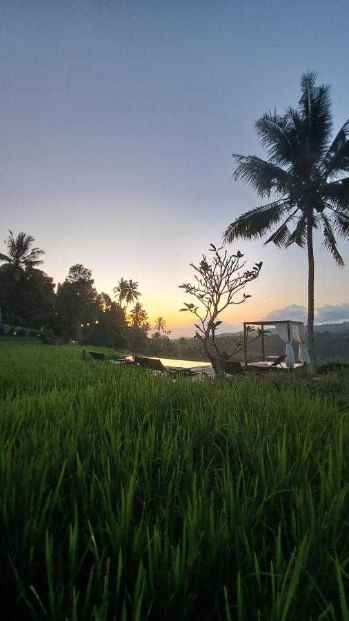 Bali De Pardis Cottage Munduk Εξωτερικό φωτογραφία