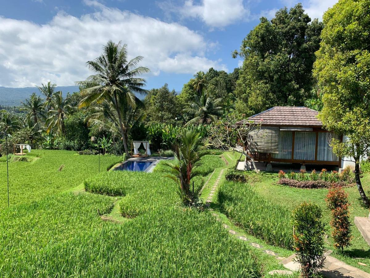 Bali De Pardis Cottage Munduk Εξωτερικό φωτογραφία