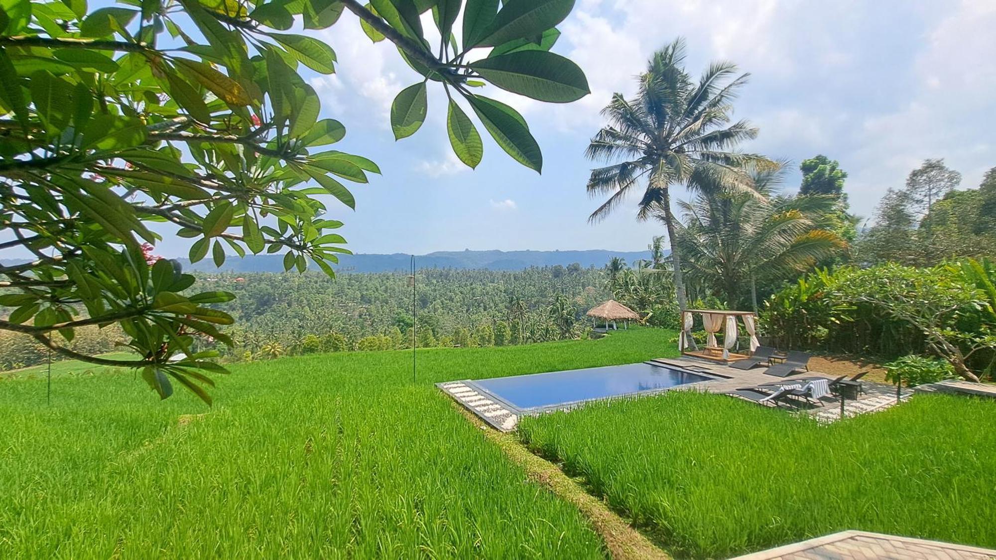 Bali De Pardis Cottage Munduk Εξωτερικό φωτογραφία