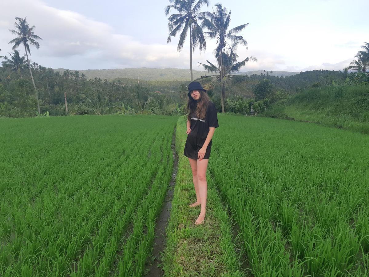 Bali De Pardis Cottage Munduk Εξωτερικό φωτογραφία