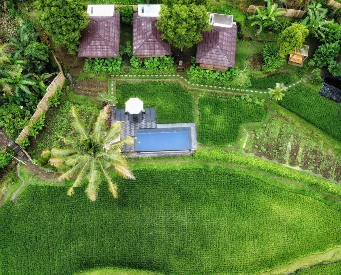 Bali De Pardis Cottage Munduk Εξωτερικό φωτογραφία