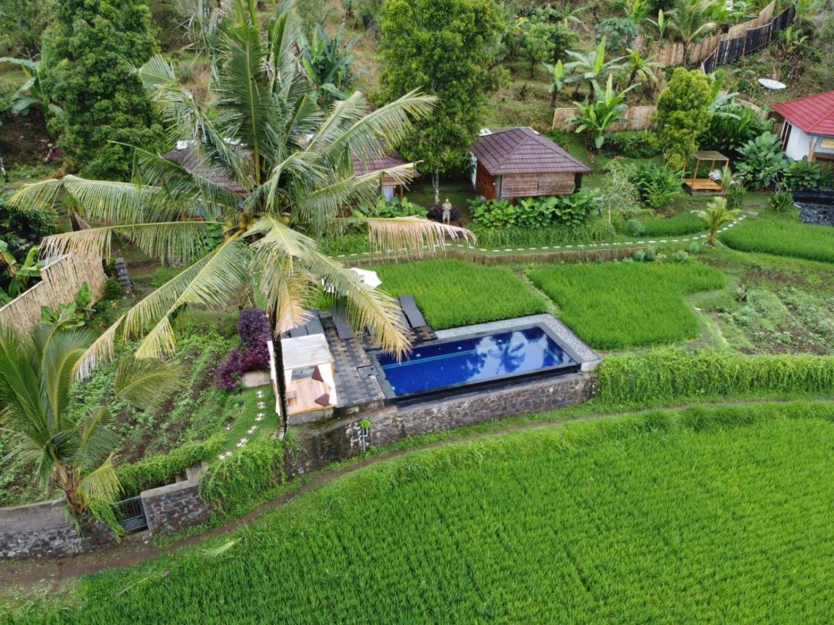 Bali De Pardis Cottage Munduk Εξωτερικό φωτογραφία