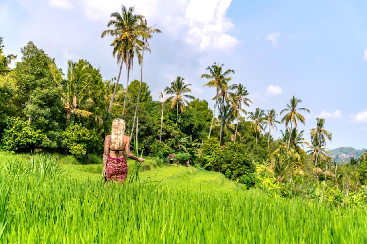 Bali De Pardis Cottage Munduk Εξωτερικό φωτογραφία