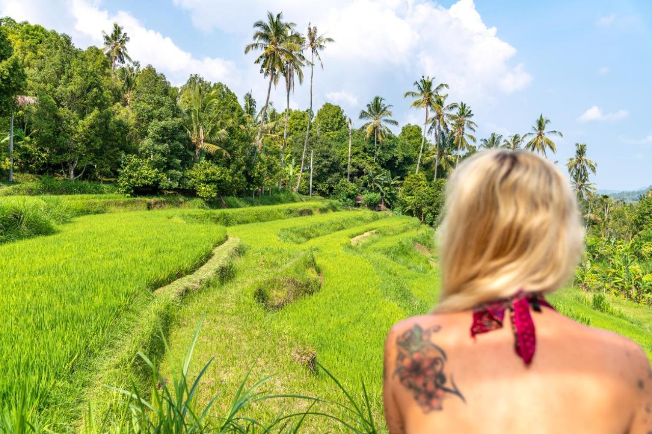 Bali De Pardis Cottage Munduk Εξωτερικό φωτογραφία